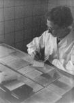 Лысова Людмила Филипповна, врач кабинета функцио­нальной диа­гностики мед­санчасти ТЭЦ-4, за расшифровкой проведенного иссле­дования