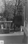 Сквер у кинотеатра «Победа». 1970-е годы