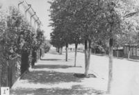 Перспектива от улицы Большевиков на восток. 1960-е годы