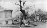 Перекресток с улицей Свободы. 1960-е годы 