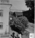 Перекресток с улицей К. Либкнехта. 1950-е годы