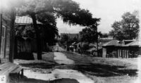 Перспектива от улицы Свободы на запад. 1950-е годы 