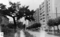Перспектива от улицы Свободы на запад. 1980-е годы