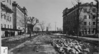 Перспектива от Динамовского проезда на восток. 1950-е годы
