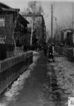Квартал от ул. Герцена до ул. М. Гвардии. Правая сторона. 1960-е годы