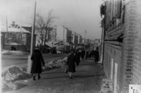 Перспектива от улицы Ст. Халтурина на север зимой. 1960-е годы